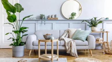 Evde Bu Bitkiler Varsa Dikkat