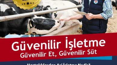 Amasya’da Hayvancılık Güvenilir