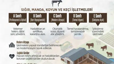 Merzifon’da Hayvancılıkta Yeni Dönem!