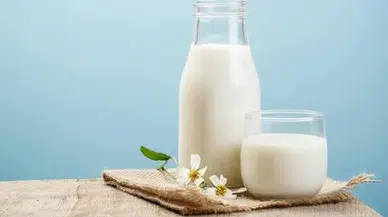 Rüyada Süt Görmek Ne Anlama Gelir? Bereket ve Kısmet Kapıda!