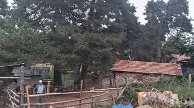 Amasya DSYB’den İl Genelinde Suni Tohumlama Çalışması