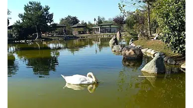 Yedikır Suluova’da mı, Merzifon’da mı Parlar?
