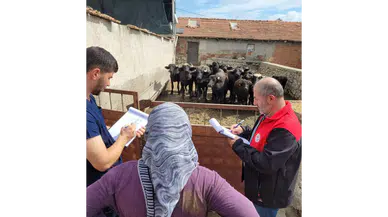 Amasya’da Hayvancılıkta Saha Çalışması!