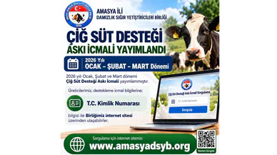Amasya’da Süt Üreticilerine Destek Müjdesi!