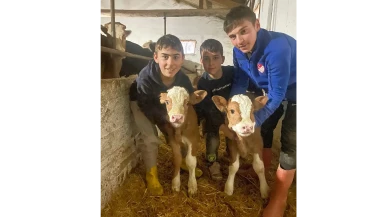 Amasya’da Suni Tohumlama Başarısı