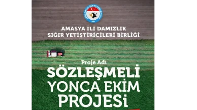 Amasya’da Sözleşmeli Yonca Dönemi