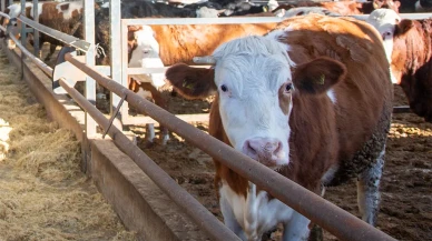 Amasya DSYB’den Kırsala Güçlü Destek