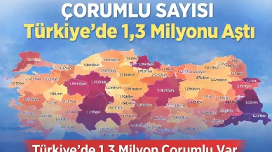 Çorumlu Sayısı Türkiye’de 1,3 Milyonu Aştı