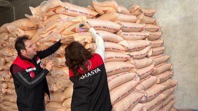 Taşova’da Gübre Bayilerine Sıkı Denetim