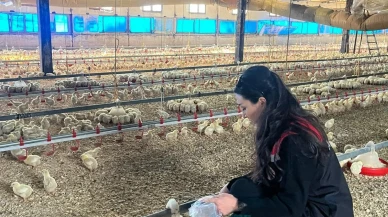 Amasya’da Yemlere Sıkı Denetim