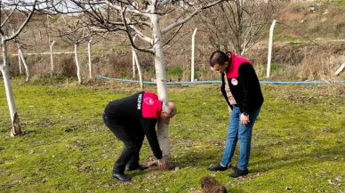 Merzifon’da Bahçe Denetimi