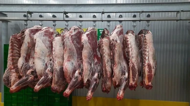 Amasya’da Yerli ve İzlenebilir Et Üretimi