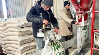 Amasya’da Yem Maliyetler Düşüyor