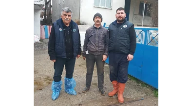 Amasya’da Hayvancılıkta Islah Hamlesi