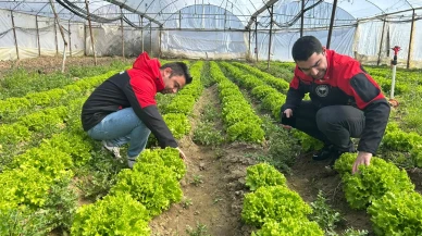 Göynücek’te Tarım Alarmı