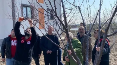 Merzifon’da Budama Eğitimi Düzenlendi