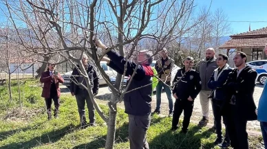 Hamamözü’nde Meyve Ağaçlarında Budama Kursu Başladı