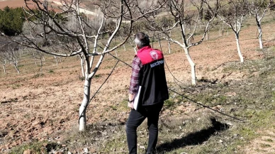 Merzifon’da Bahçeler Mercek Altında