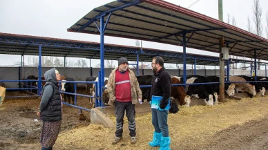 Köyümde Yaşamak İçin Bir Sürü Nedenim Var