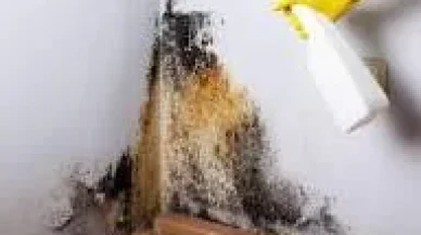 Evde Küf Sorununa Son! İşte Küfü Anında Yok Eden Pratik Yöntemler