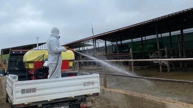 Merzifon’da Larvasit Çalışmaları Başladı