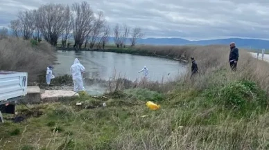 Merzifon’da Haşereye Geçit Yok!