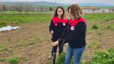 Merzifon’da Üreticiye ‘Doğru Bakım’ Eğitimi!