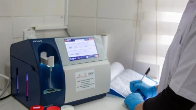 Amasya Süt Üretiminde Rekor