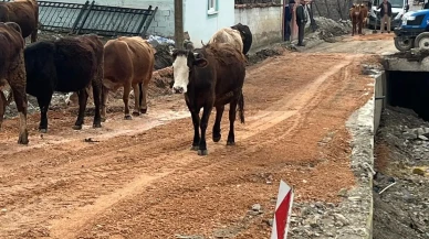 Merzifon'da 5 Köye Yol Müjdesi!