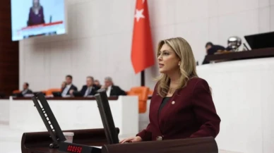 Giresun’da Maden Gerilimi: “Yaşam Alanlarımızı Talan Ettirmeyeceğiz!”