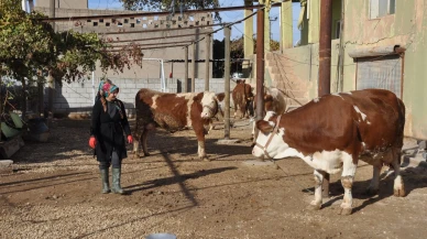 Kırsala Dönüş Başlıyor: Gençlere Maaşlı Üretim Modeli