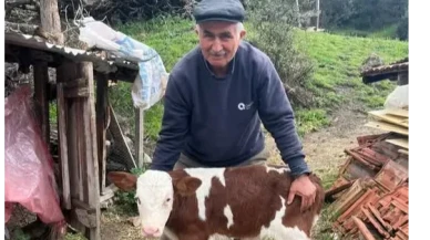 Amasya’da Suni Tohumlamada Başarı