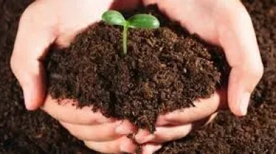 Rüyada Toprak Görmek Ne Anlama Gelir? İşte Dikkat Çeken Yorumlar