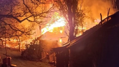 Köyde çıkan yangında 3 ev kullanılamaz hale geldi