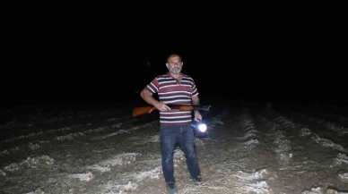 Çiftçilerin "beyaz altın" nöbeti: Sarımsaklar çalınmasın diye sabaha kadar tarlada nöbet tutuyorlar