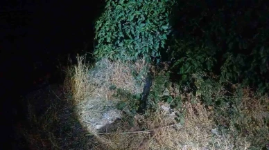 Sokak ortasında silahlı saldırıya uğrayan adam bacağından yaralandı