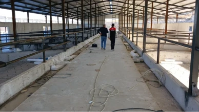 Suluova TDİ Besi OSB’de 386 Milyon TL’lik Yatırım Devam Ediyor