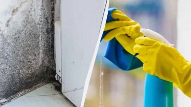 Duvarlarda artık siyah küf olmayacak! Basit tüyo