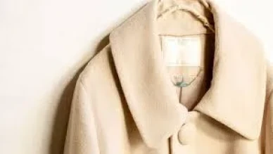 Rüyada Kaban Görmek Ne Anlama Gelir? İşte Bilinmesi Gerekenler