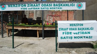 Merzifon Ziraat Odası’ndan Üreticiye Destek: Fide Satışları Başladı