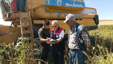 Amasya’da Ayçiçeği Hasadı Kontrolleri Sürüyor