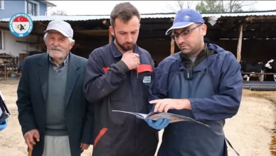 DSYB, Hayvan Islahı ve Verimlilik İçin Çalışmalarını Sürdürüyor