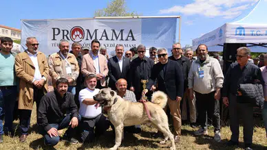 Merzifon’da Bölgesel Güç Gövde Gösterisi Yaptı