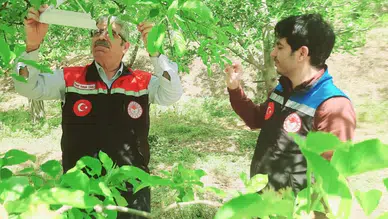 Amasya’da Ürün Kaybına Karşı Önlem