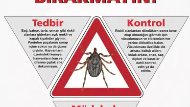 Amasya İl Sağlık Müdürlüğü’nden Hayati Kene Uyarısı