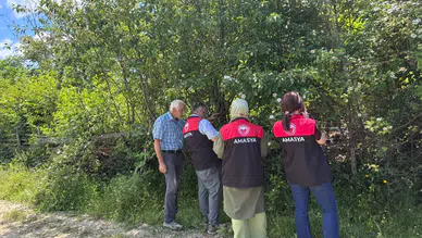 Taşova’da Kahverengi Kokarcaya Samuray Arılı Önlem