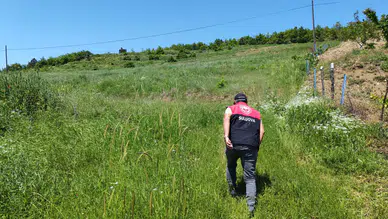 Suluova’da Üretim Sahada Takip Ediliyor