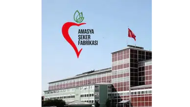 Amasya Şeker'den Büyük Sıçrama! İSO İkinci 500'de 302 Basamak Yükseldi