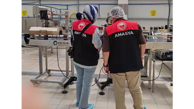 Amasya'da Gıda Denetimleri Aralıksız Devam Ediyor
