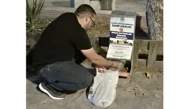 Merzifon Ülkü Ocakları'ndan Sokak Hayvanlarına Anlamlı Destek